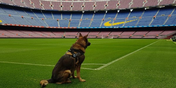 BARNA GOS K9 S.L.U.