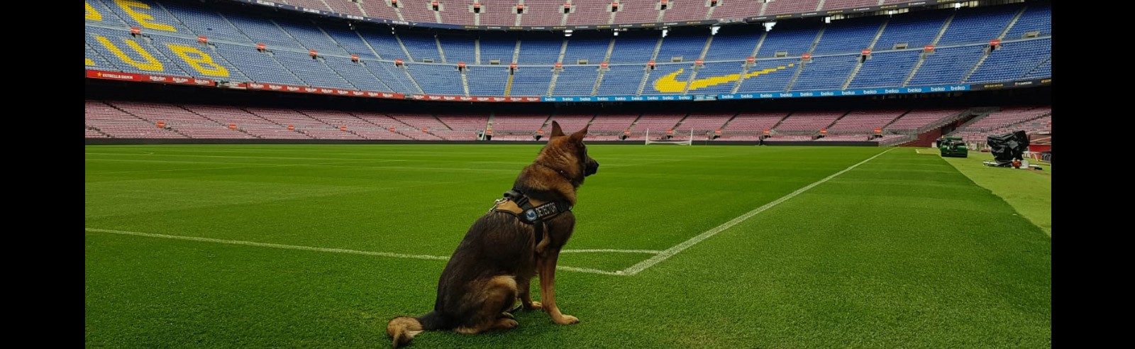 BARNA GOS K9 S.L.U.